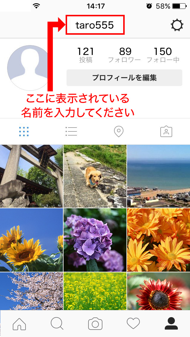 insta-wind