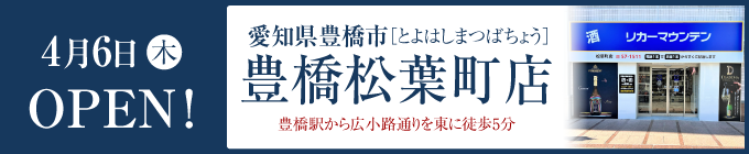 豊橋松葉町店